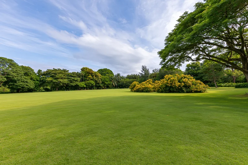 Open green lawn stretching toward a treeline of dense tropical vegetation under a blue sky with scattered clouds
