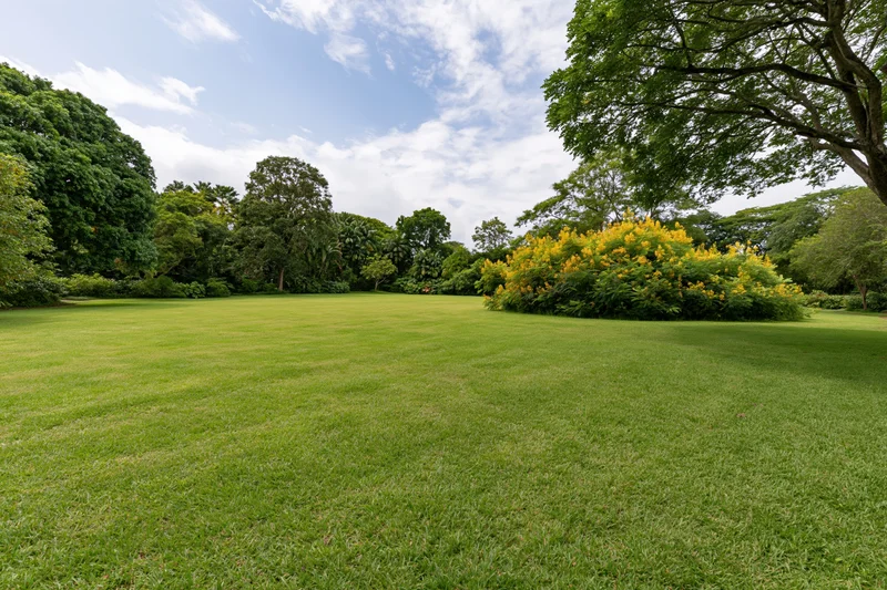 Open green lawn stretching toward a treeline of dense tropical vegetation under a partly cloudy sky