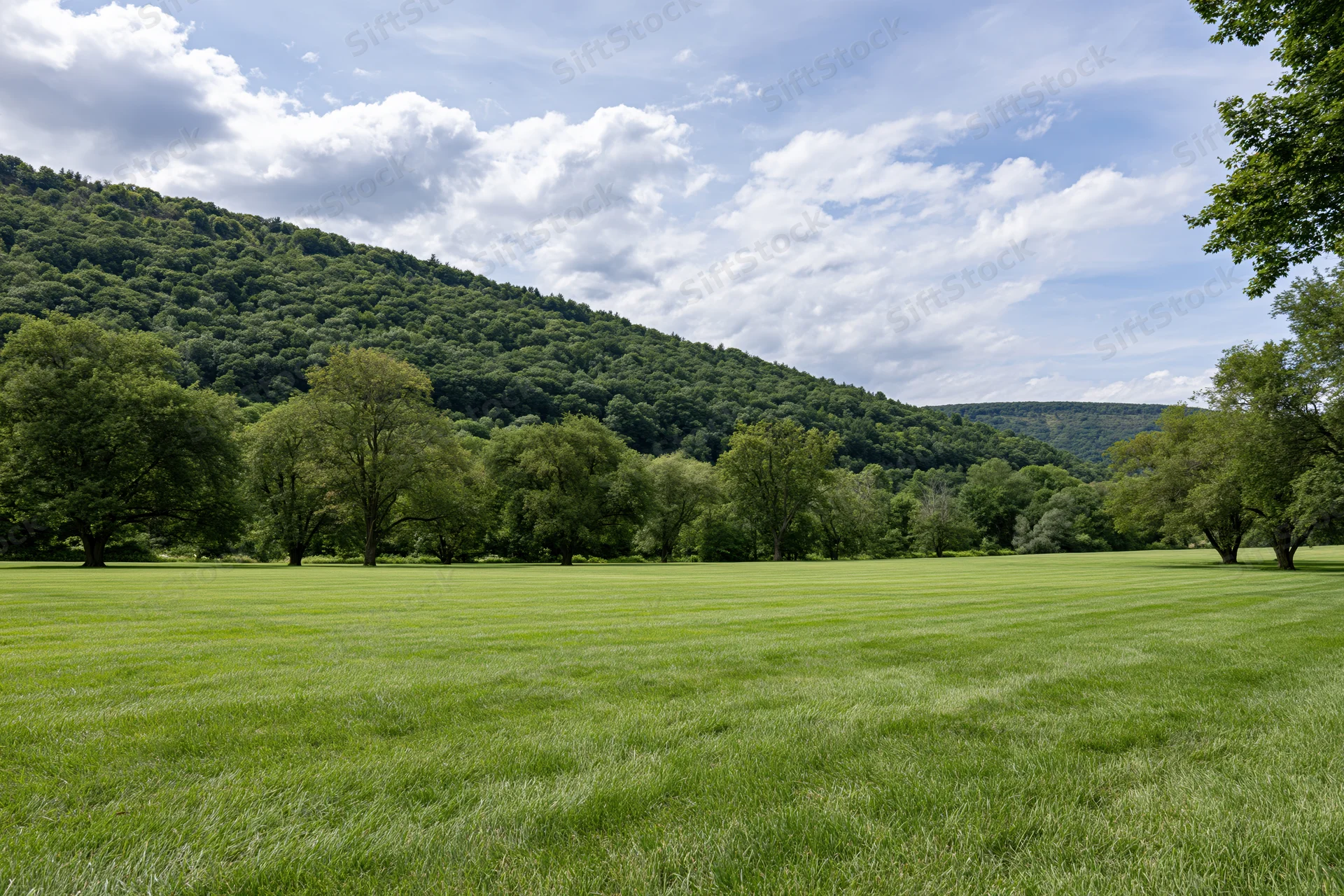 Manicured green lawn stretching toward a treeline of mixed trees at the base of a forested hill under a partly cloudy sky