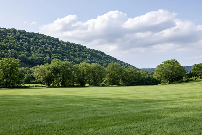 Manicured green lawn stretching toward a treeline of mixed trees at the base of a forested hill under a partly cloudy sky