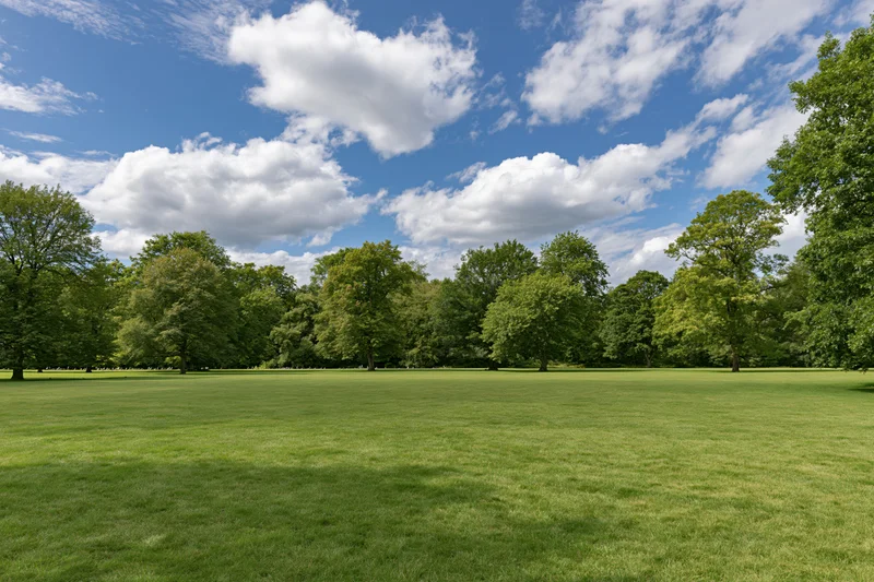 Wide mowed lawn stretching toward a line of trees under a blue sky with scattered clouds in an open public park