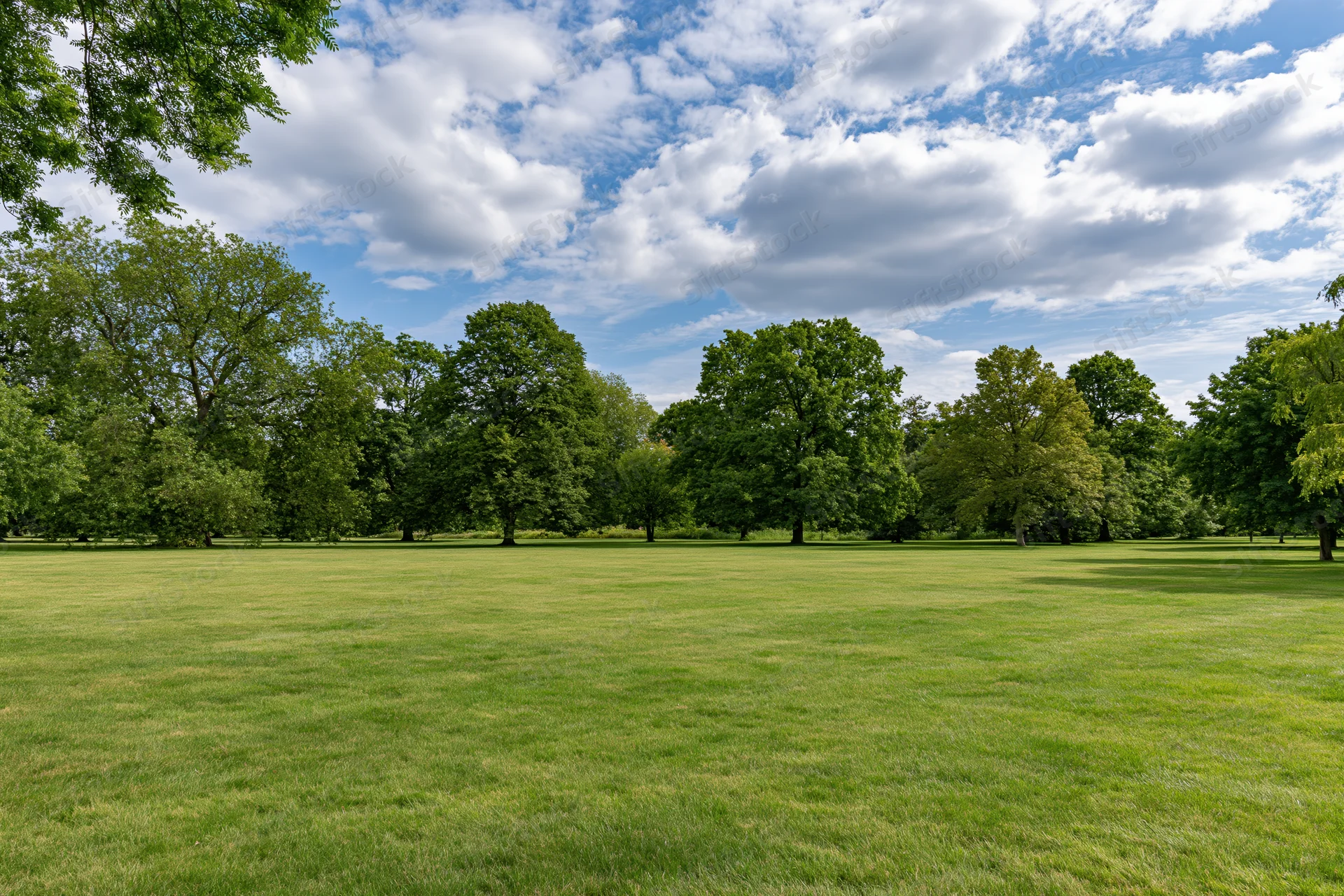 Wide mowed lawn stretching toward a line of trees in a public park under a partly cloudy sky