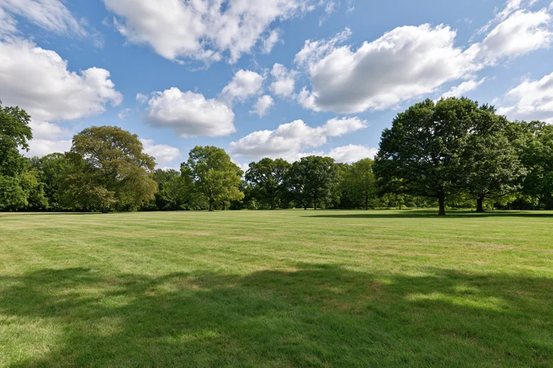 Wide mowed lawn stretching toward a line of trees in an open public park under a blue sky with scattered clouds