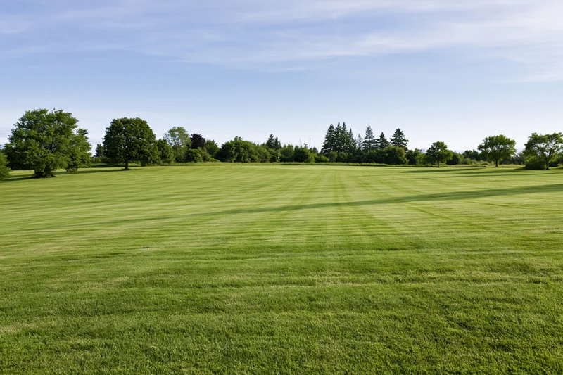 Wide mown grass field sloping gently in an open public park with trees and blue sky