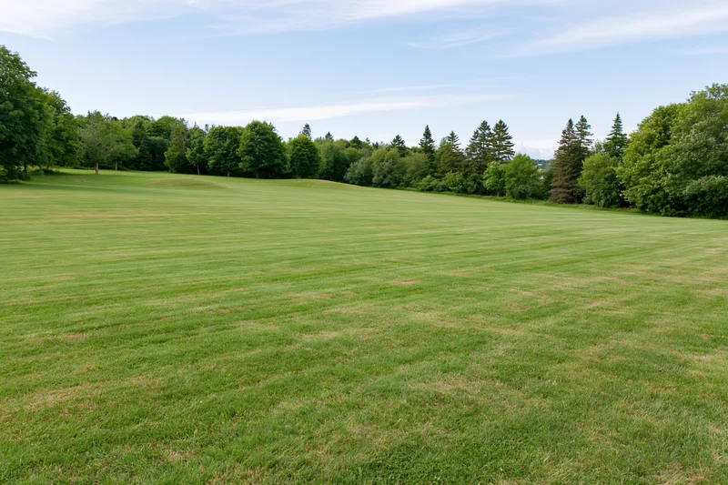 Wide mown grass field sloping gently in an open park surrounded by trees under a blue sky