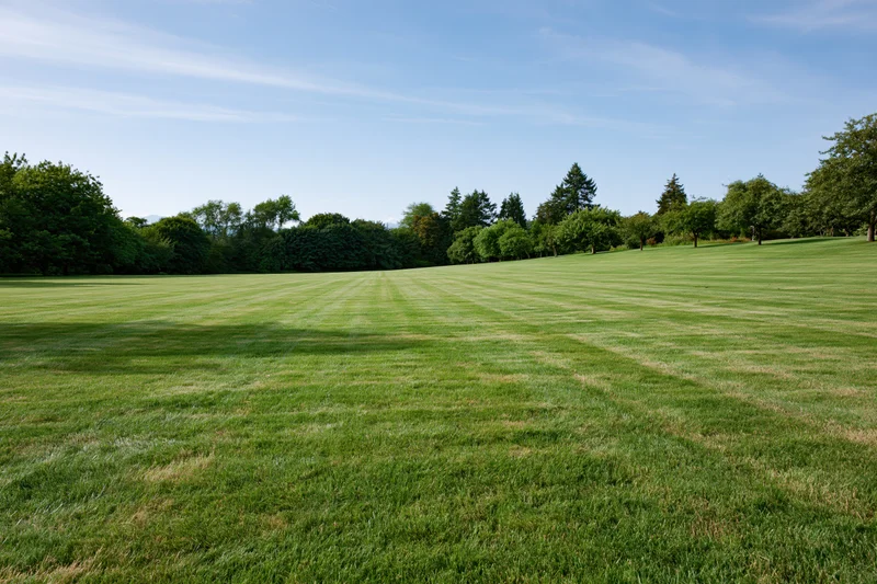 Wide mown grass field sloping gently in an open public park with trees and blue sky in the background