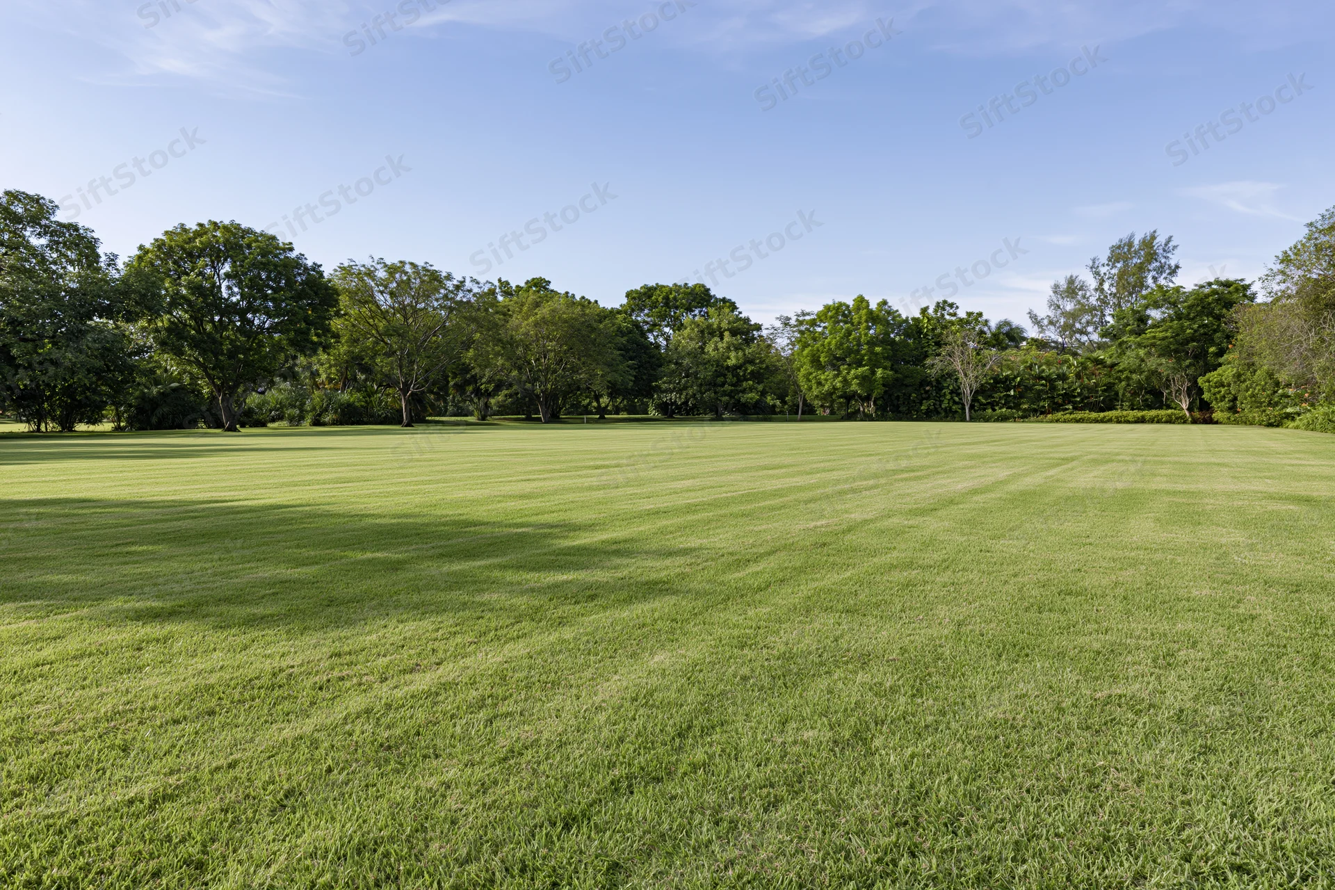 Wide neatly mowed green lawn in open public park under clear blue sky with trees lining the edge