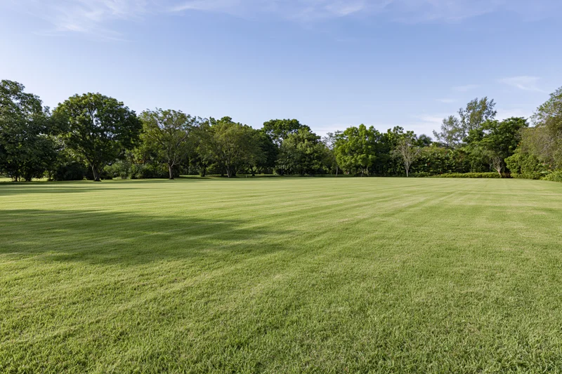 Wide neatly mowed green lawn in open public park under clear blue sky with trees lining the edge