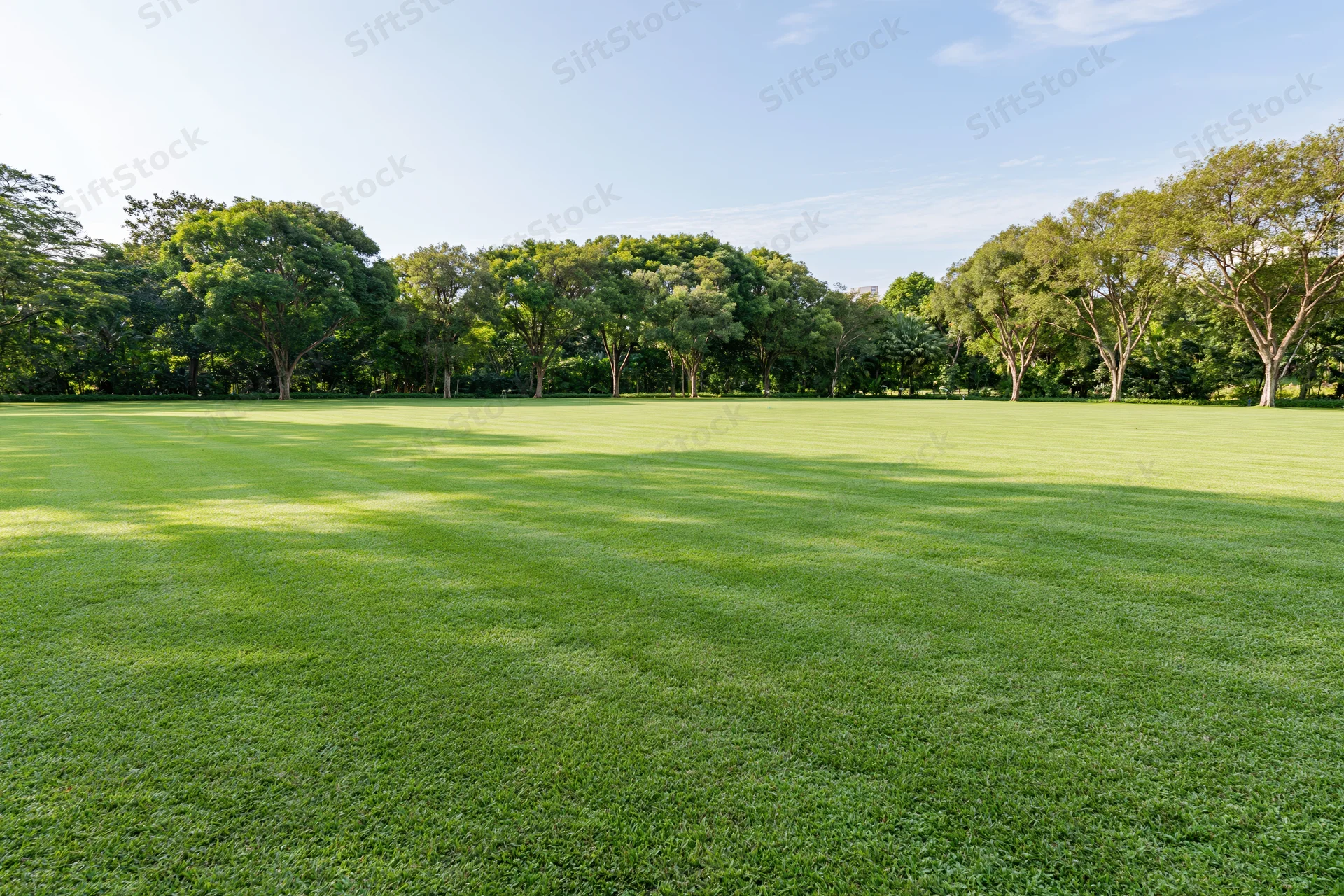 Wide neatly mowed green lawn in open public park bordered by trees under clear blue sky