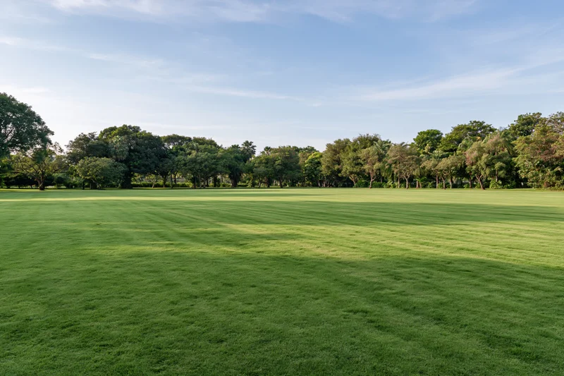 Wide neatly mowed green lawn in open public park bordered by trees under clear blue sky