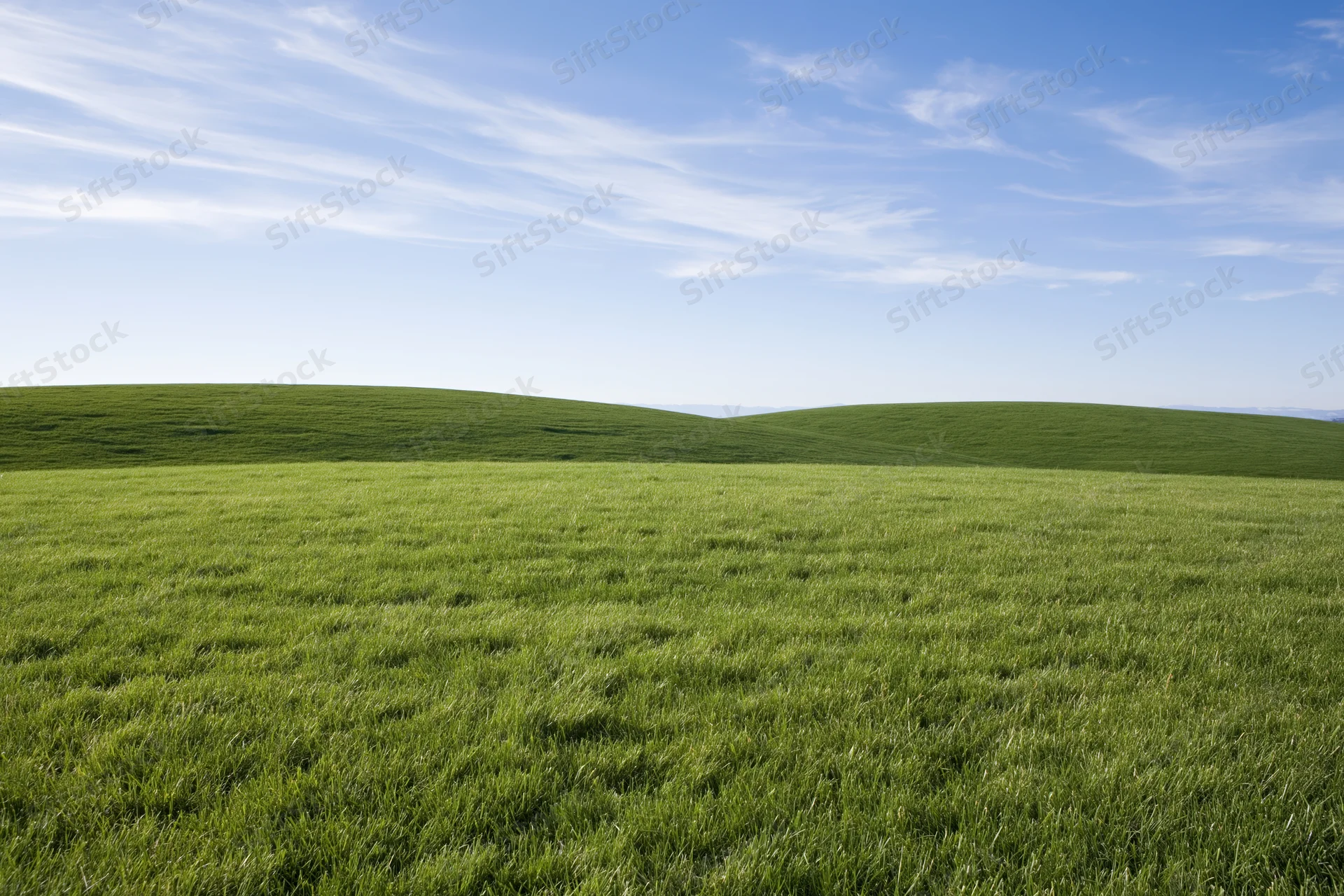 Open rolling green grass field with gently curved low hills under a blue sky with wispy clouds