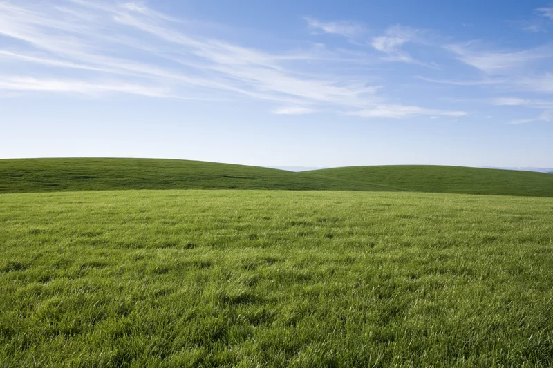 Open rolling green grass field with gently curved low hills under a blue sky with wispy clouds