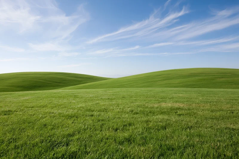 Open rolling green grass field with gently curved low hills under a blue sky with wispy clouds