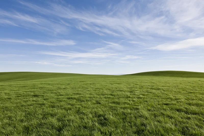 Open rolling green grass field with gently curved low hills under a blue sky with wispy clouds