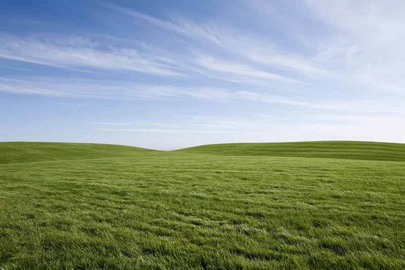 Open rolling green grass field with gently curved low hills under a blue sky with wispy clouds