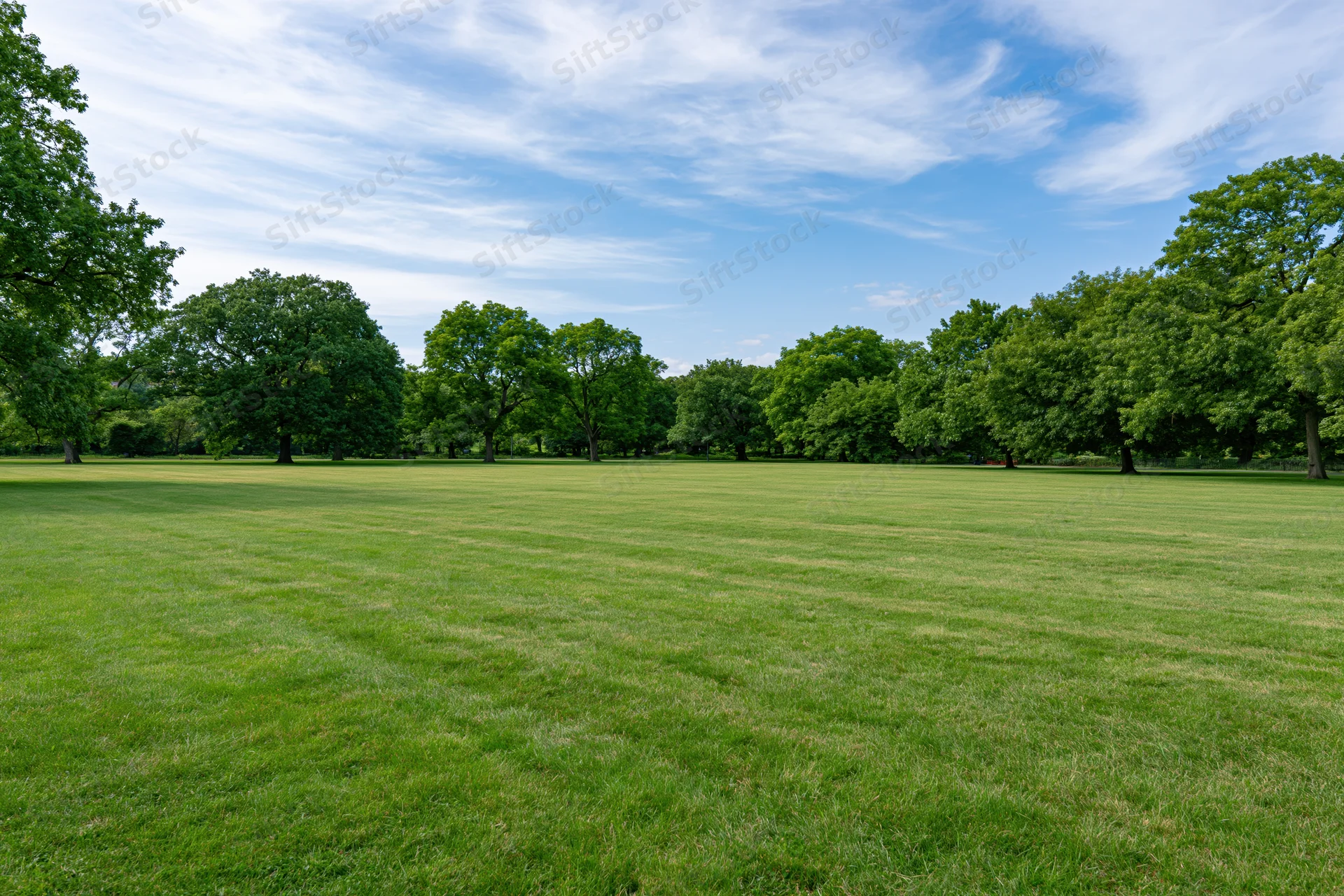 Wide flat grassy lawn stretching toward a line of trees in an open urban park under a blue sky with scattered clouds