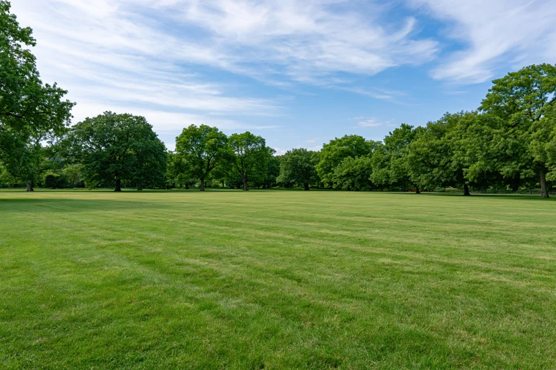Wide flat grassy lawn stretching toward a line of trees in an open urban park under a blue sky with scattered clouds