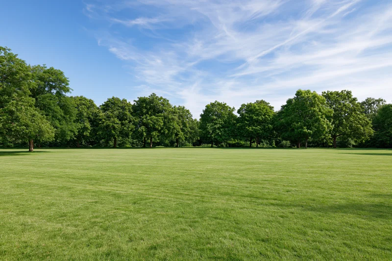 Wide flat green lawn stretching toward a line of trees in an open urban park under a blue sky with wispy clouds