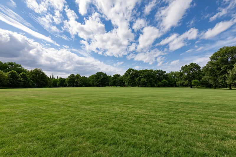 Wide manicured grass lawn in an open urban park under a blue sky with scattered clouds