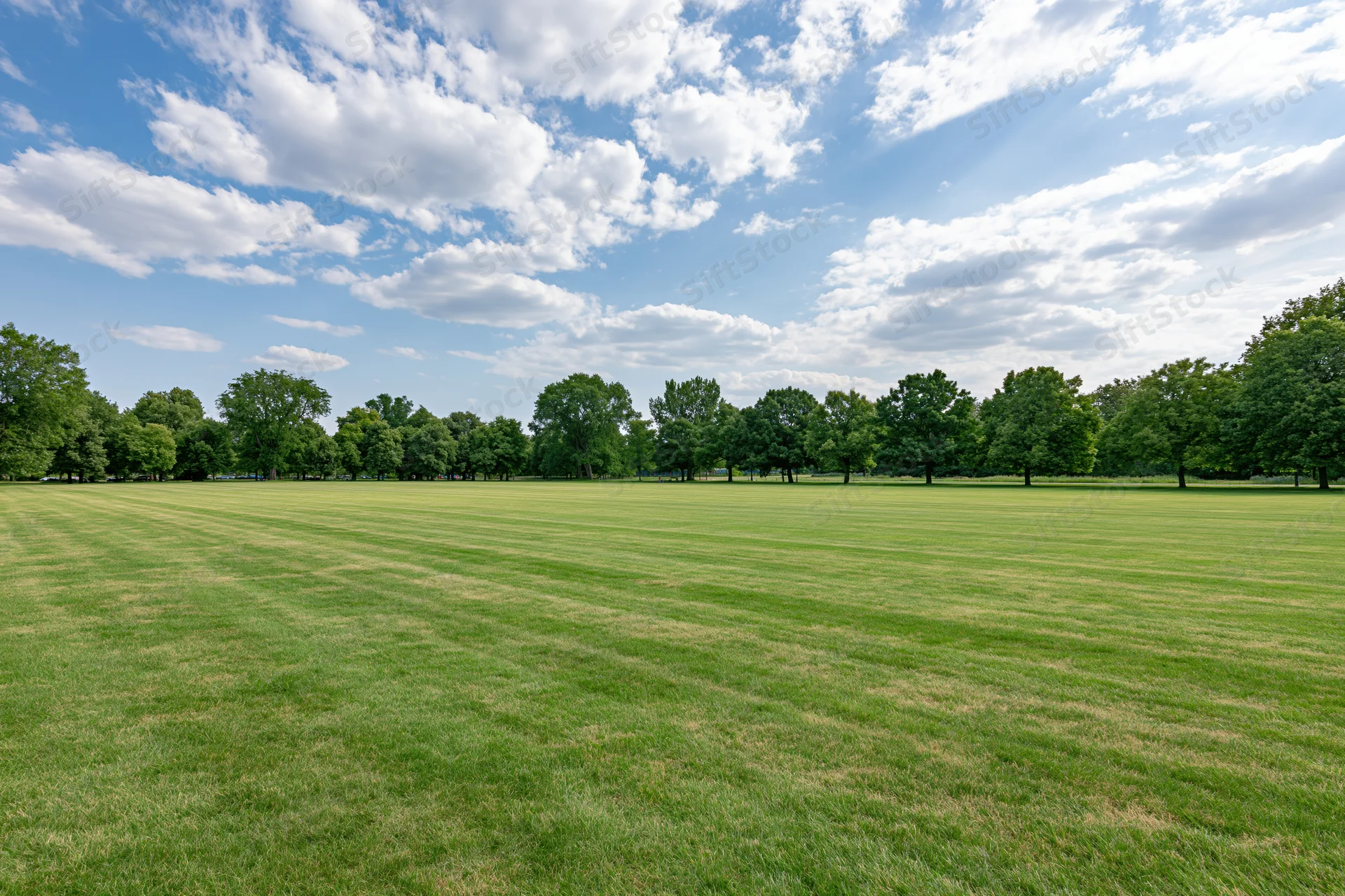 Wide manicured grass lawn in an open urban park bordered by trees under a blue sky with scattered clouds