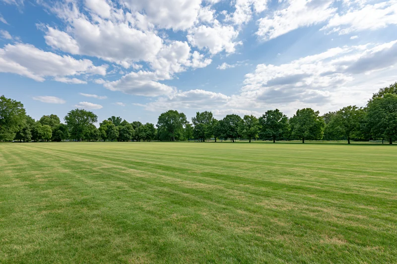 Wide manicured grass lawn in an open urban park bordered by trees under a blue sky with scattered clouds