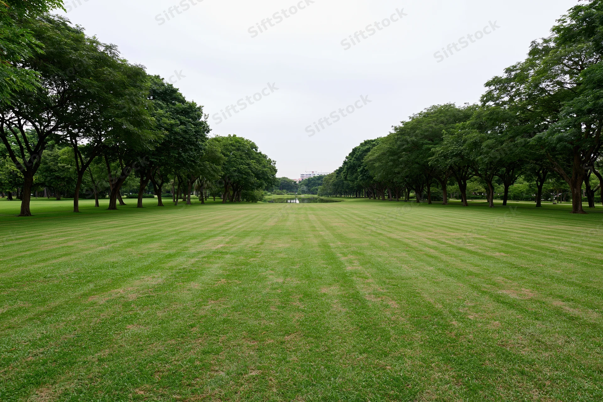 Wide mowed grass lawn flanked by rows of trees in an open urban park