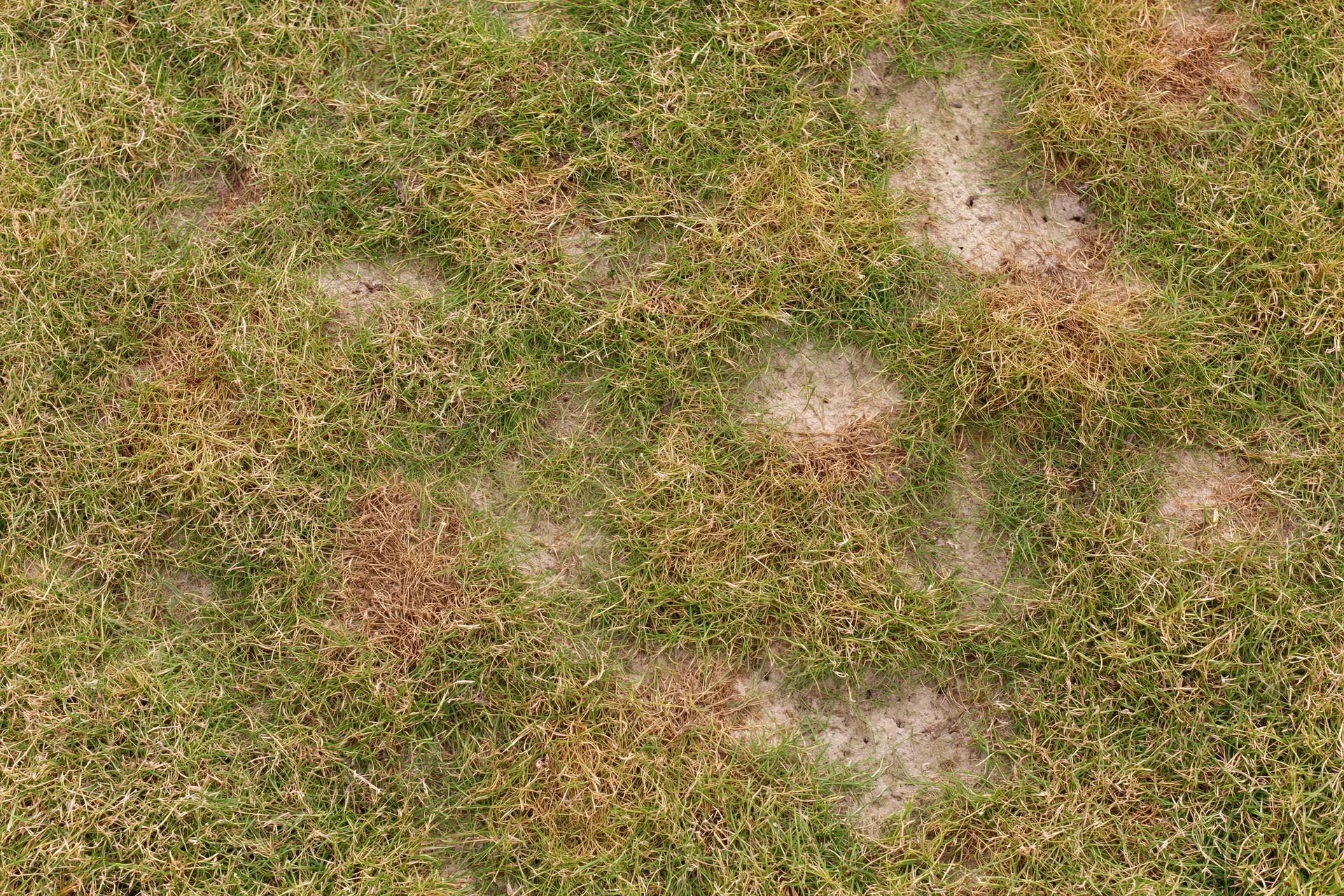 Patchy lawn surface with bare soil and dry grass patches viewed from directly above
