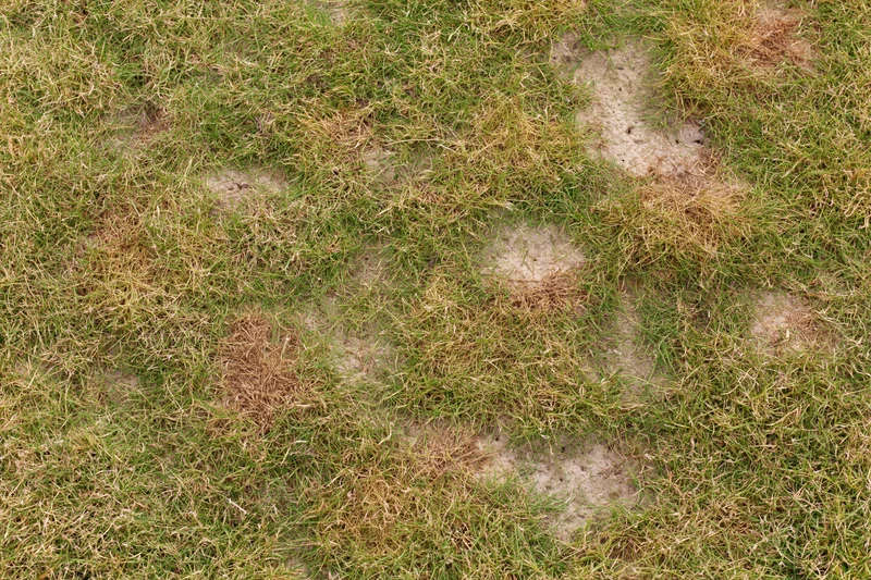 Patchy lawn surface with bare soil and dry grass patches viewed from directly above