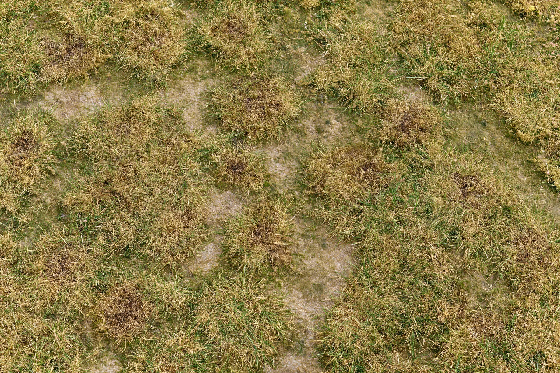 Patchy lawn surface with dry brown and green grass patches over exposed soil, viewed from directly above