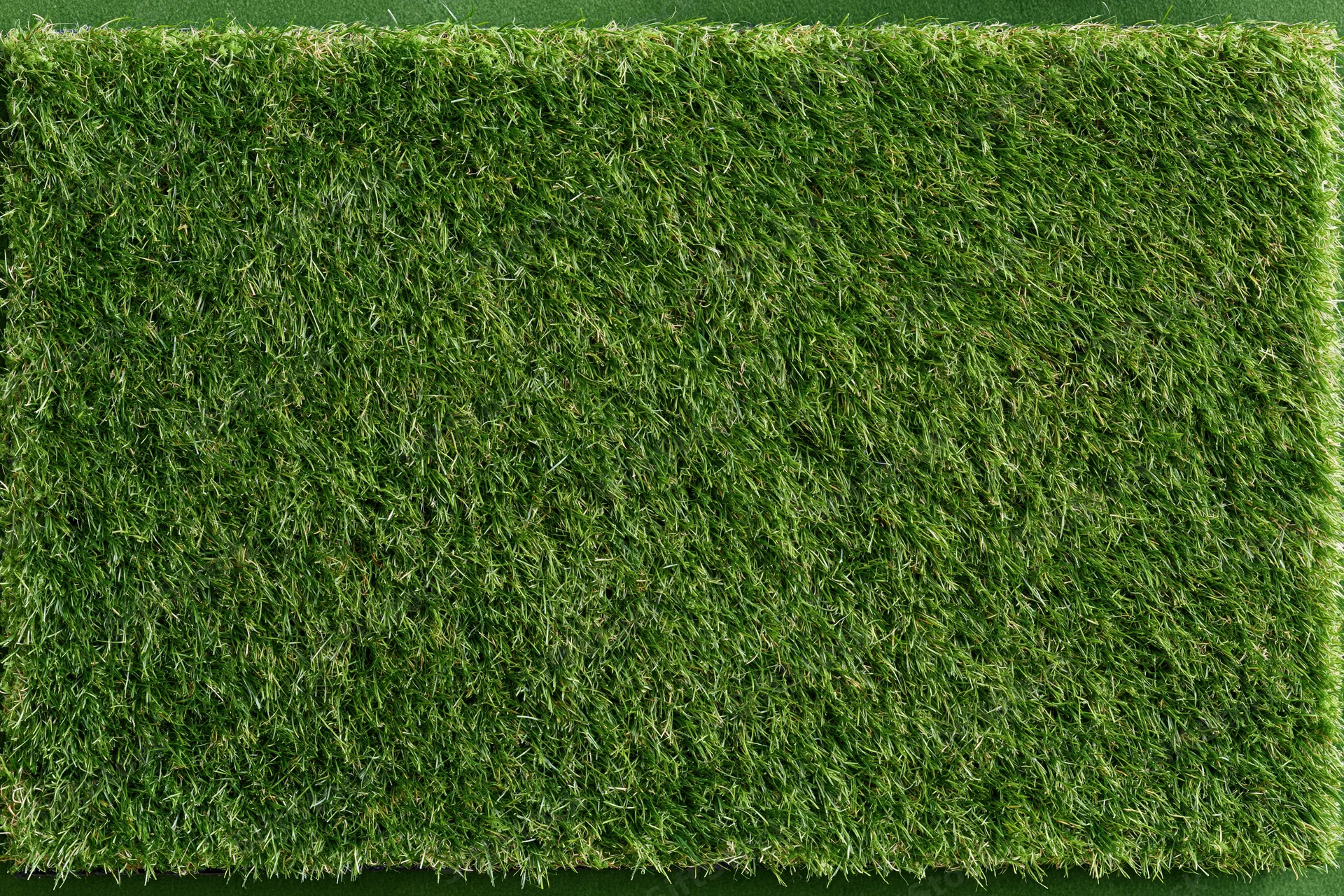 Rectangular patch of short mown grass viewed from above