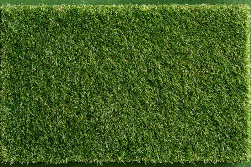 Rectangular patch of short mown grass viewed from above