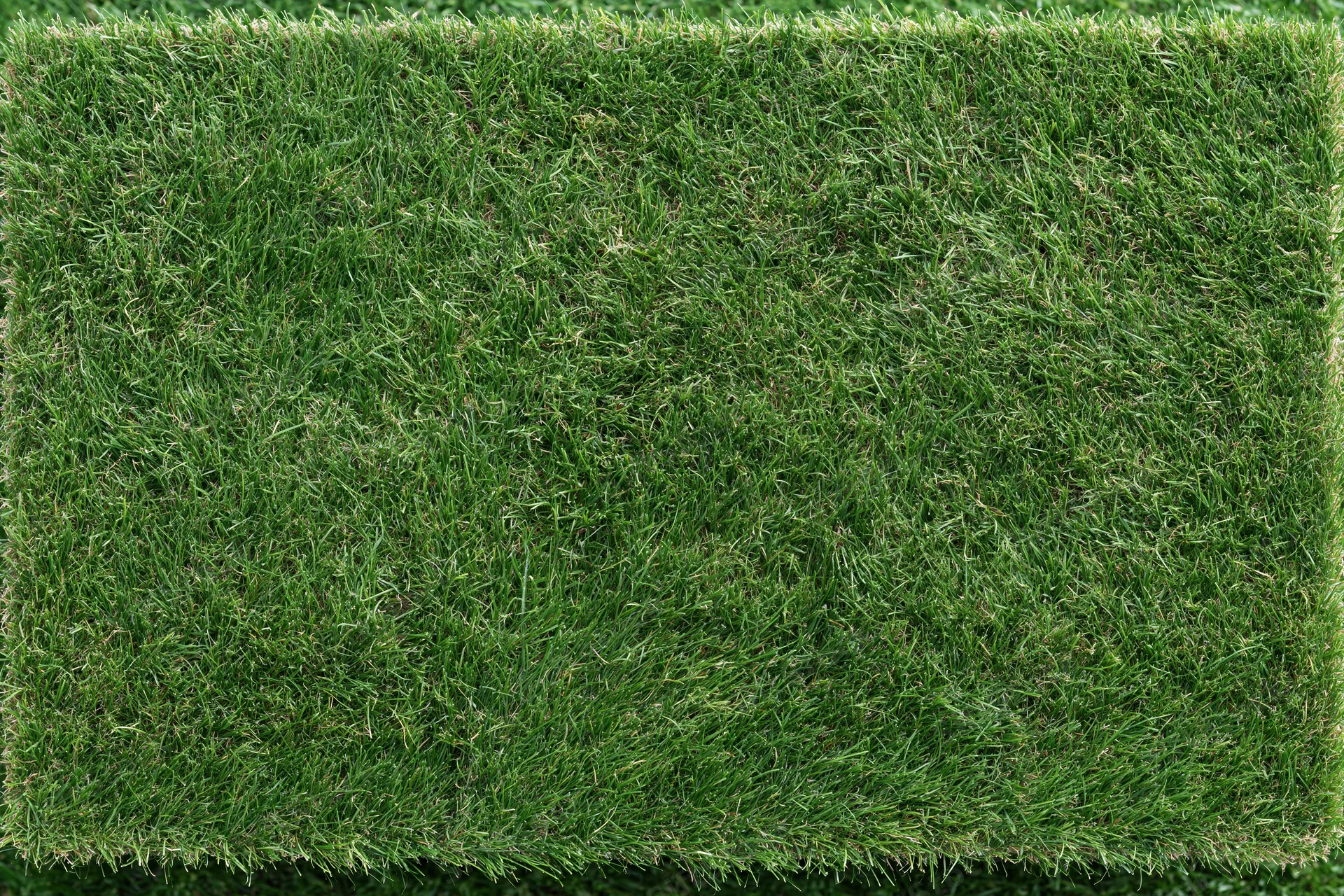 Rectangular patch of short mown grass viewed from above