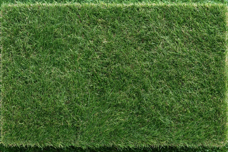 Rectangular patch of short mown grass viewed from above