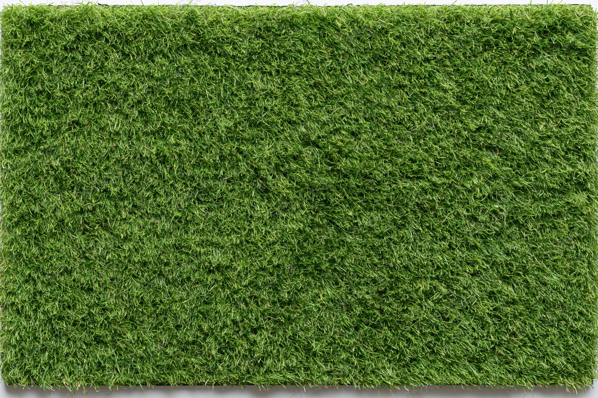 Rectangular patch of short mowed grass viewed from above on a flat surface