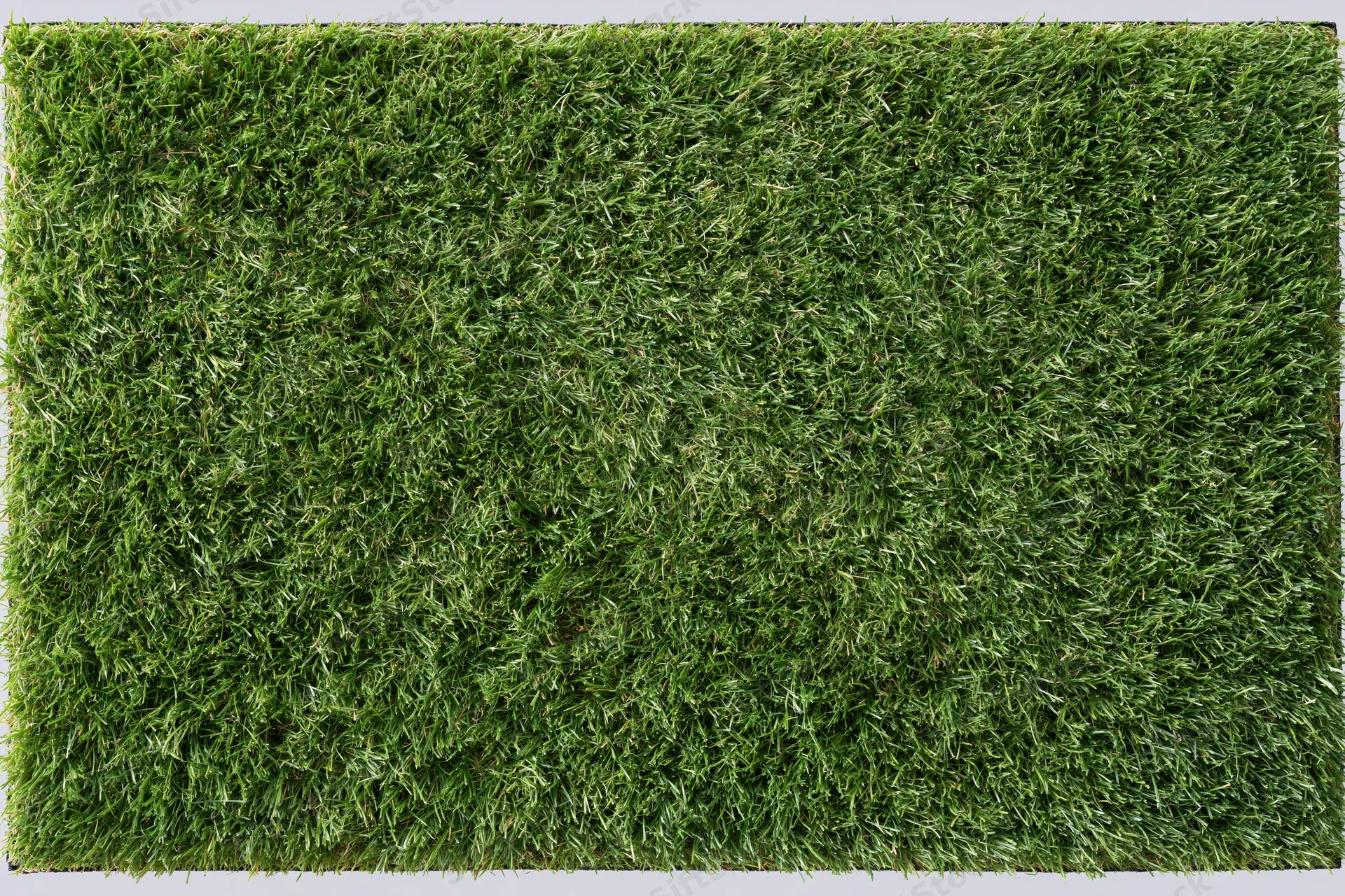 Rectangular patch of short mown grass viewed from above