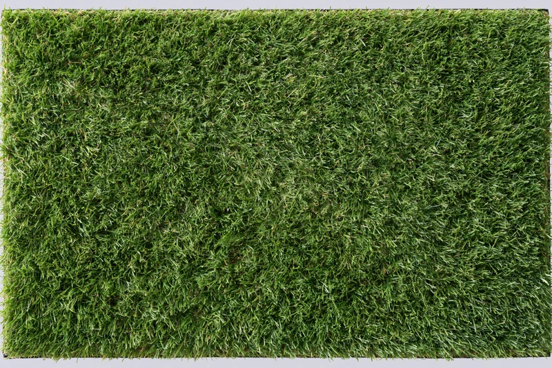 Rectangular patch of short mown grass viewed from above