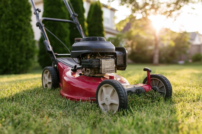Red and black push lawn mower cutting green grass in a suburban yard during golden hour
