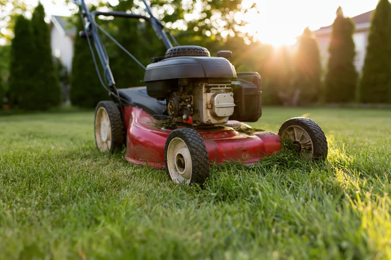 Red and black push lawn mower cutting fresh green grass in a suburban yard at sunset