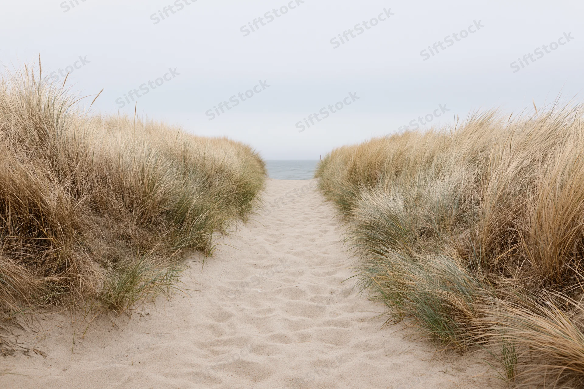 Sandy path between marram grass-covered dunes leading to the ocean