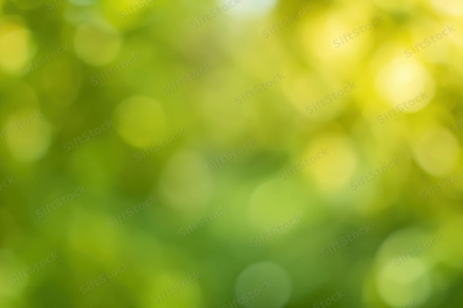 Blurred green foliage with soft bokeh light spots in natural outdoor setting