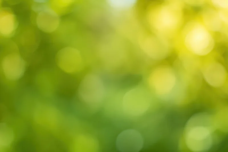 Blurred green foliage with soft bokeh light spots in natural outdoor setting