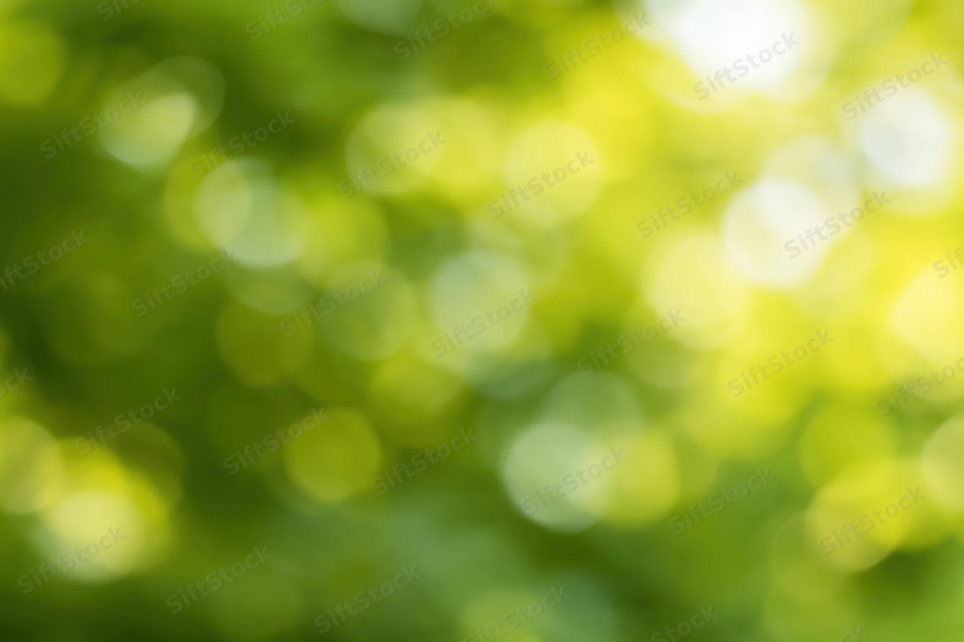 Blurred green foliage with soft bokeh light spots in natural outdoor setting