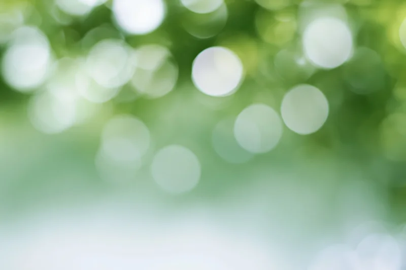 Soft out-of-focus bokeh background with large circular light spots in green and white tones, created by natural foliage in daylight