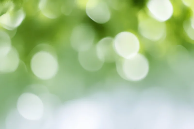 Soft out-of-focus bokeh background with large circular light spots in green and white tones