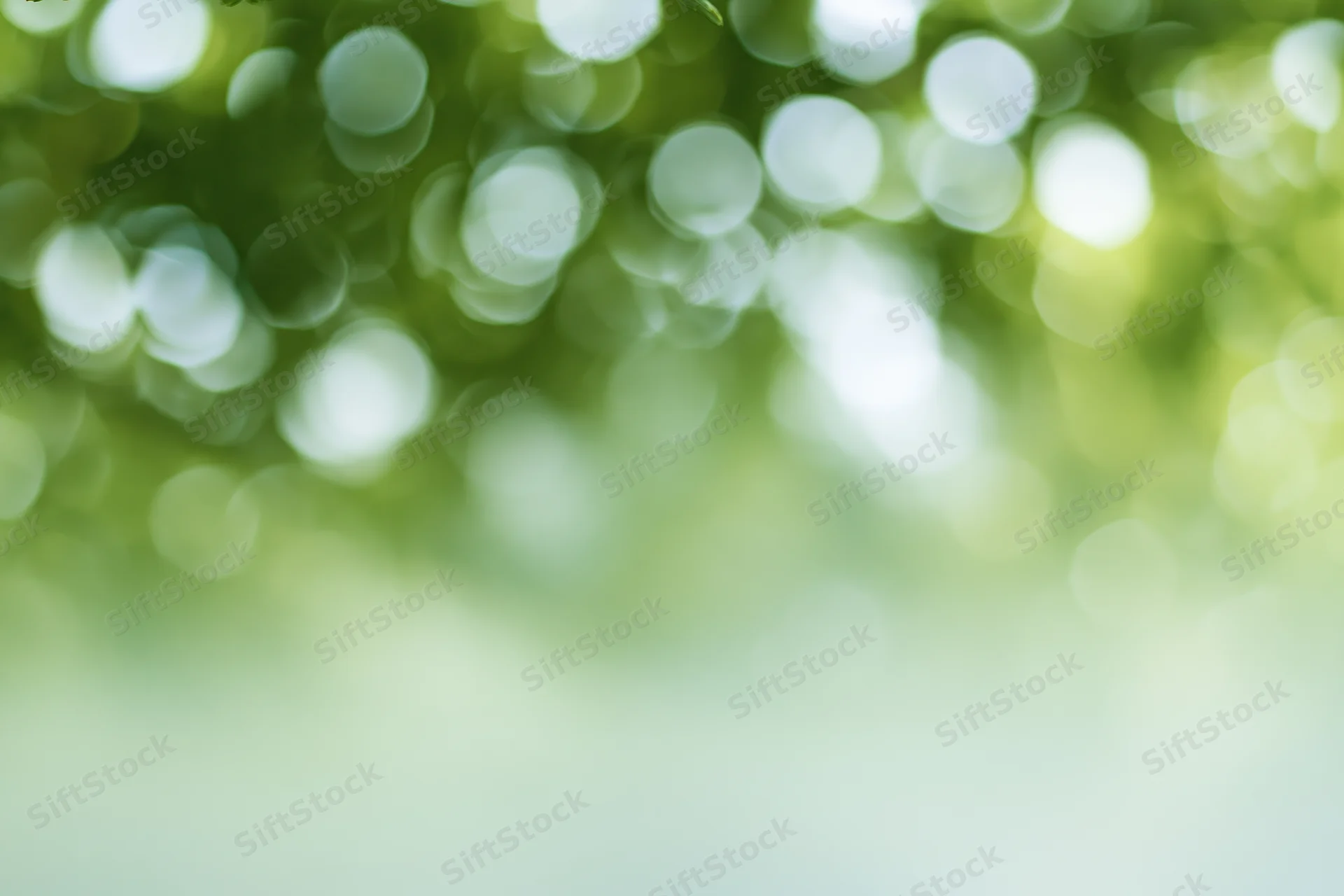 Soft out-of-focus bokeh background with large circular light spots from green foliage in natural daylight