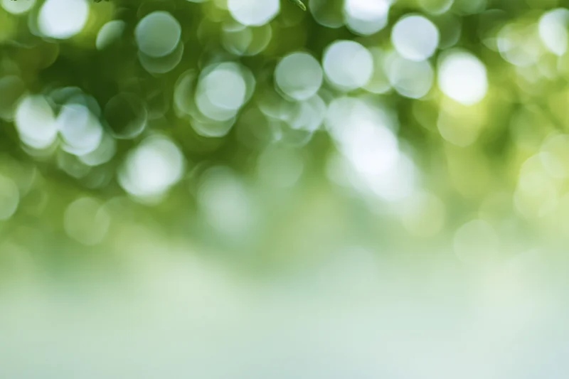Soft out-of-focus bokeh background with large circular light spots from green foliage in natural daylight