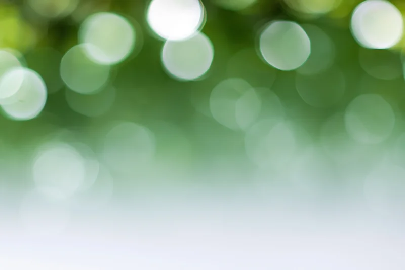 Soft out-of-focus bokeh background with large circular light spots in green and white, transitioning to white at bottom