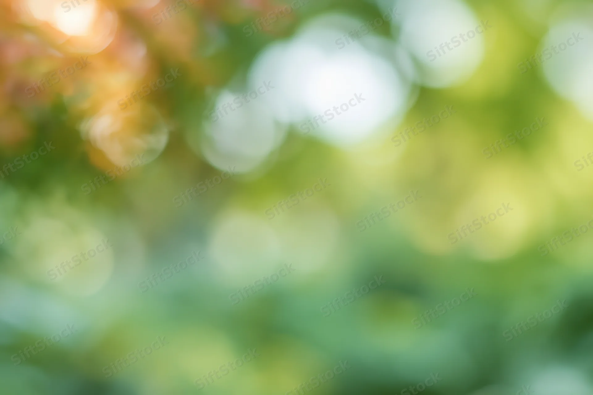 Soft out-of-focus natural background with green foliage and sunlight bokeh