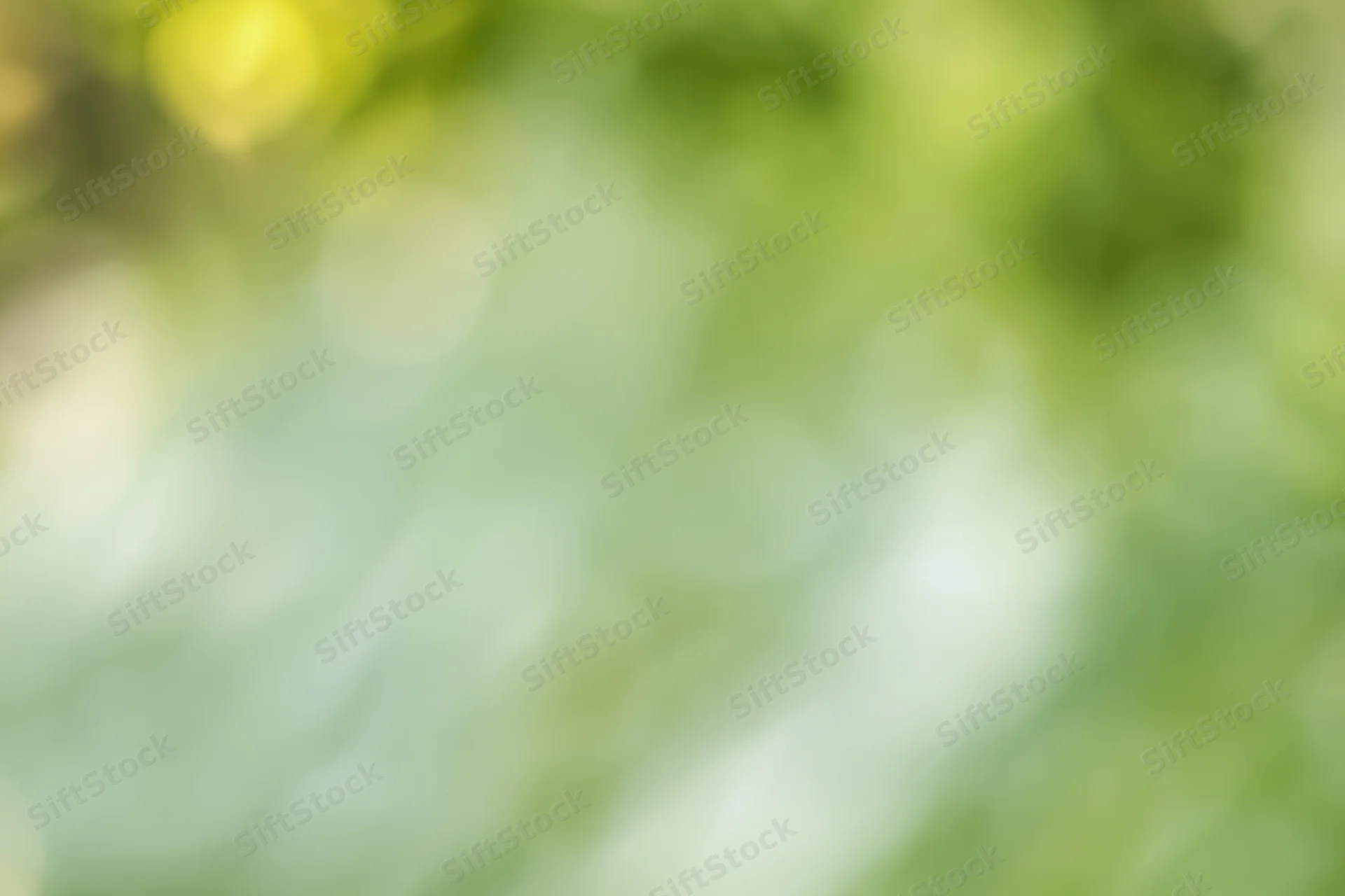 Soft blurred natural background with green foliage and bokeh light effects