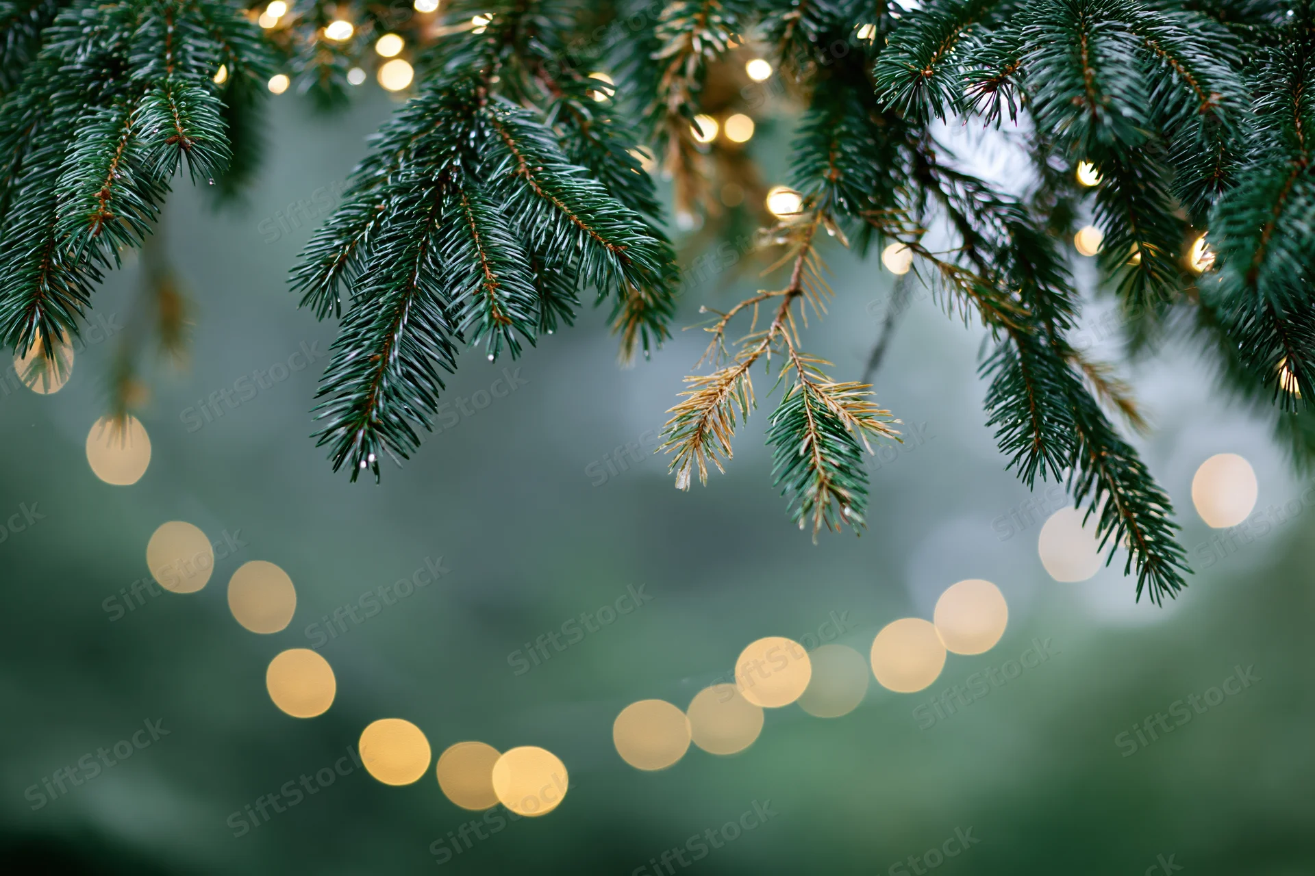 Spruce branches hanging with warm string lights against a blurred green background